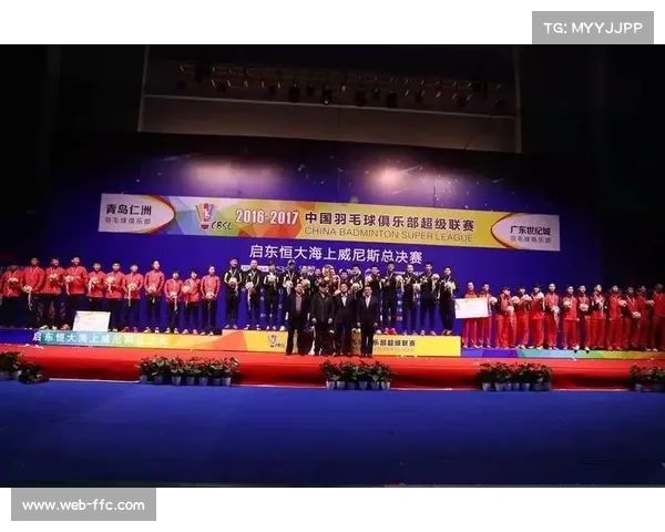 长沙总决赛场馆通过验收，符合羽超标准